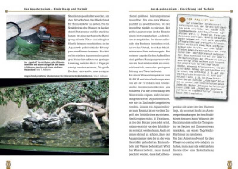 Preview: Die Chinesische Dreikielschildkröte